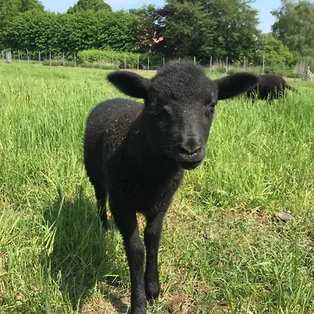 Faehrhaus Mitling Mark * Westoverledingen